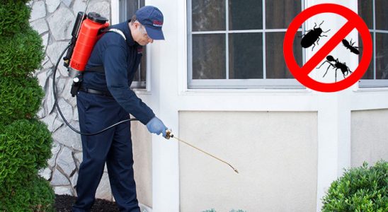 Dalaman Akrep İlaçlama böcek ilaçlama ve haşere kontrolü — ilaclama-tr.com